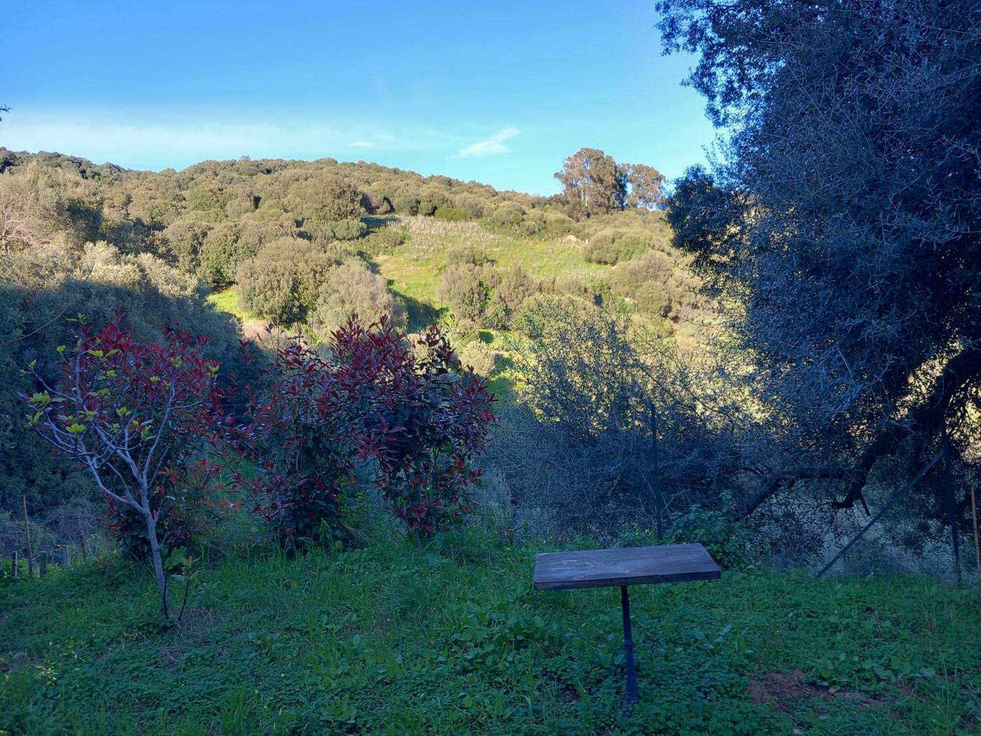 Villa A Croce Alata Luaran gambar
